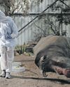 Inside the forensic academy where future guardians battle poaching Inside the forensic academy where future guardians battle poaching