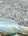 Love note in a bottle found years later, an ocean away31