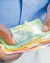 Despite financial strain, South Africans make a plan39