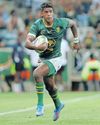 Erasmus challenges fresh-faced Springboks to turn up in Turin Erasmus challenges fresh-faced Springboks to turn up in Turin70