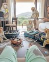 Travellers' wild tales of animal encounters36