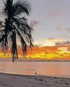 Most breathtaking honeymoon escapes for South African couples49