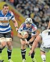 Stormers on guard in URC derby as John Dobson warns against wounded Sharks74