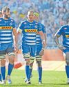 Stormers count the injury cost during URC hiatus, with key star set for welcome return61
