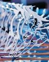 SA's top investment performers lauded at Raging Bull Awards44
