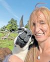 Thief nabbed by long arm of the llama38