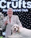 Grooming makes Crufts debut as UK dog show widens offer33