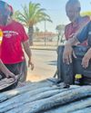 Cape snoek shortage hits Easter traders Cape snoek shortage hits Easter traders19
