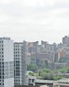 The rise of property fraud: what homeowners need to know43