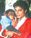 The Michael Jackson biopic could stoke an exotic pets demand19