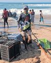 Heroic act saves beachgoers from serious injury at sardine netting5
