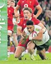 Springboks scale new heights in a year to savour48