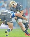 Refreshed Sharks target Lions scalp36