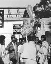 Phoenix at 50: from floods to freedom, from survival to renewal Phoenix at 50: from floods to freedom, from survival to renewal15
