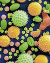 Ancient pollen reveals stories about Earth's history17