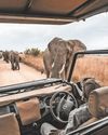7 reasons to experience a South African safari for a roaring winter adventure 7 reasons to experience a South African safari for a roaring winter adventure44