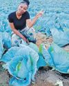 Young entrepreneur expands agricultural vision to 20 hectares in Polokwane40