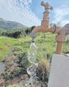 Community, crane species benefit from KwaMkhize’s water project17