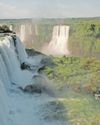 Roaming the globe: the best experiences in nature tourism Roaming the globe: the best experiences in nature tourism54