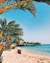 Uncovering Africa’s best-kept tropical secrets55