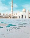 5 reasons to explore vibrant Abu Dhabi49