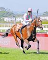 Defending champ Oriental Charm leads the charge in 129th Durban July64