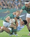 Springboks sweat for win against spirited Italy77