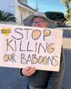 Hundreds rally in Simon's Town against proposed baboon removals23