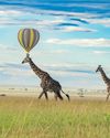 Adventure: dive into Africa’s best beach-to-bush holidays43