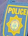Evaluating the decentralisation of SAPS policing3