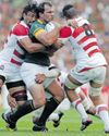 The Miracle of Brighton - 10 years on from the Springbok horror show67