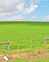 Public land and assets: a silent symbol of missed opportunity26