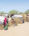 Environmental stress and violent conflict in northern Nigeria44