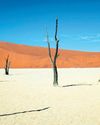 Visa-free African destinations for South Africans in 202656