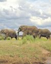 The safest countries to explore in Africa54