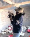 Young farmer builds sustainable agribusiness to tackle food security and youth unemployment49