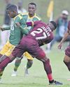 Sunday Tribune