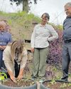 Sunday Tribune