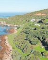 False Bay Echo
