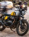 ROYAL ENFIELD BEAR 65040