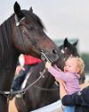 'Horses are constantly talking to you. It's for us to read them