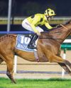 'Sword of Honour' race takes centre stage at Meydan