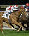 Poker Face, Tuz shine as Meydan welcomes New Year