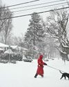 Winter storm leaves large US region blanketed in snow, ice