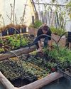 In France, urban farms, social groceries offer food, dignity