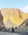 'Citizen scientists' get to explore Wadi Wurayah, document wildlife