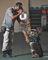 How Dubai Police's K9 dogs helped find missing people