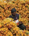 Pakistan drought dents winter harvest