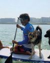 A boat cruise for dogs every weekend