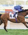 Jockey De Sousa ends O’Shea’s 12-year reign in UAE racing Jockey De Sousa ends O’Shea’s 12-year reign in UAE racing